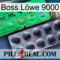 Boss Löwe 9000 new04